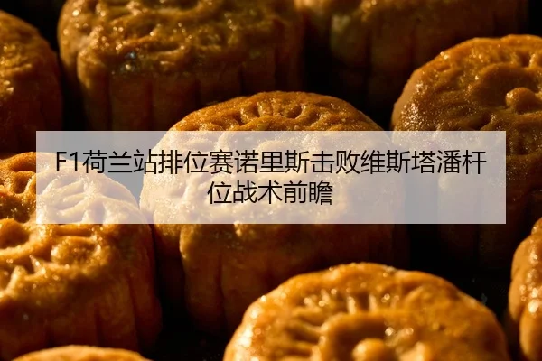 F1荷兰站排位赛诺里斯击败维斯塔潘杆位战术前瞻