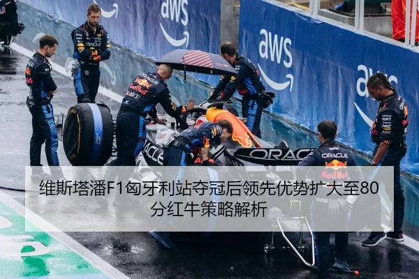 维斯塔潘F1匈牙利站夺冠后领先优势扩大至80分红牛策略解析